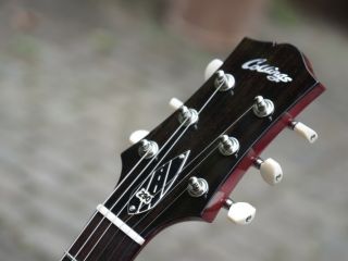 collings 290 dc rot  
