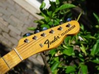 f thinline 68