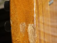 f thinline 68