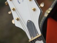 gretsch duane eddy