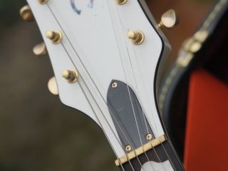 gretsch duane eddy