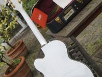 gretsch duane eddy