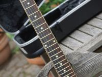 hartung flying v