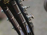 larson maurer koa 