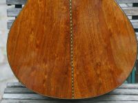 larson maurer koa 