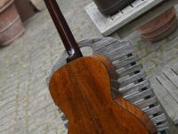 larson maurer koa 