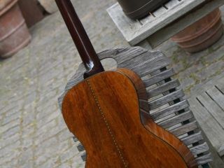 larson maurer koa 