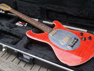 np baron astor
