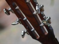 rzw blues