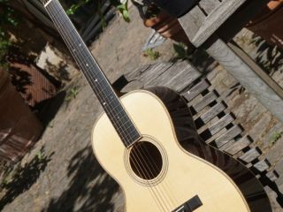 striebel oo coco 